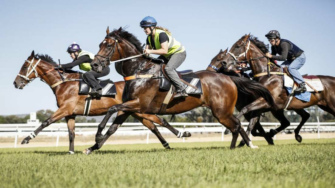 BACK ON TRACK: Jump outs at Albury on Wednesday. Picture: James Wiltshire
