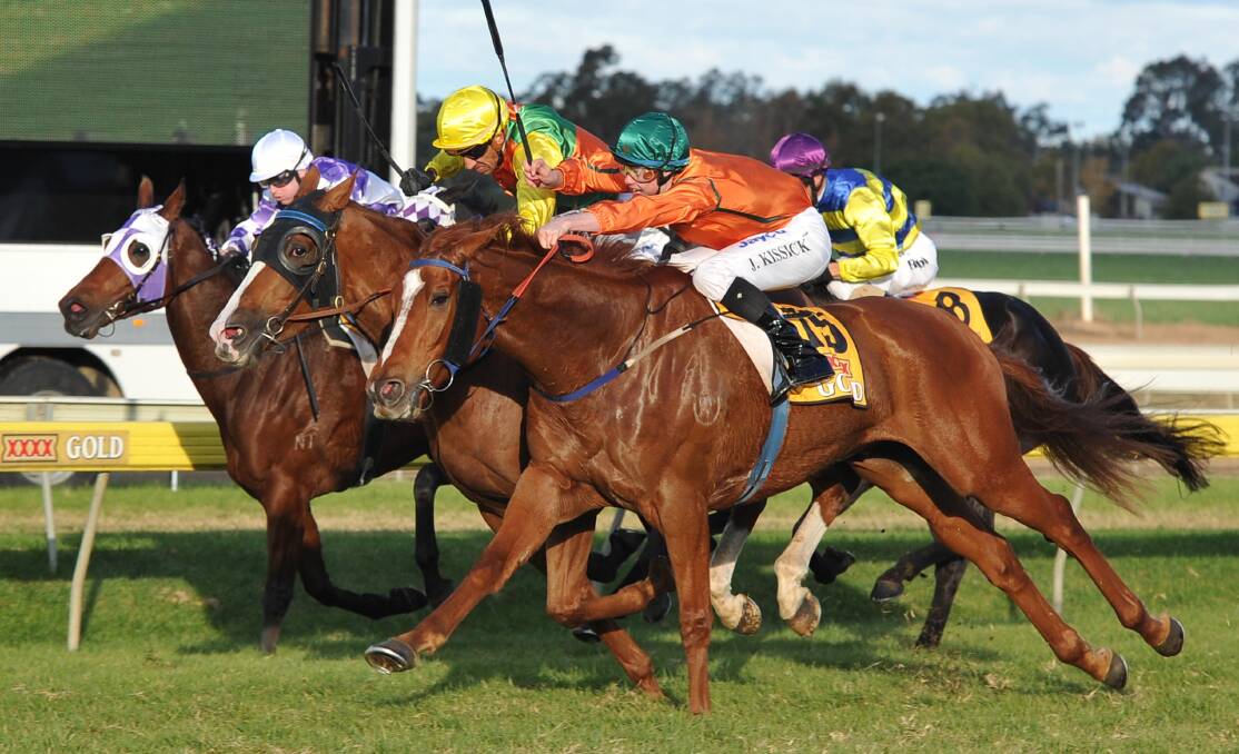 AGONY: Devised, with John Kissick on board, comes down the outside to finish second to Coliseo in the 2012 Wagga Gold Cup. Picture: Les Smith