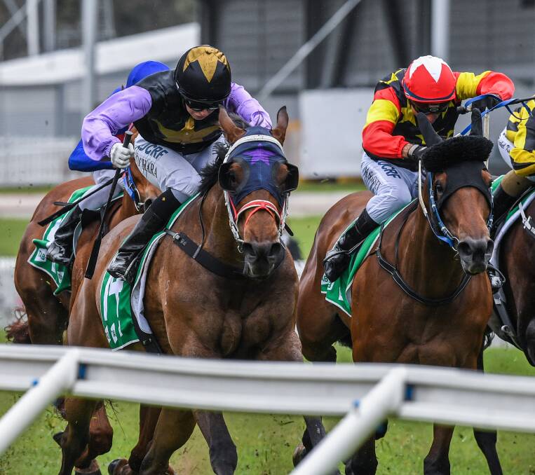 TRAGIC PASSING: Neyla's Girl (right) finishes fifth in what turned out to be her final race at Rosehill on November 4. Picture: AAP