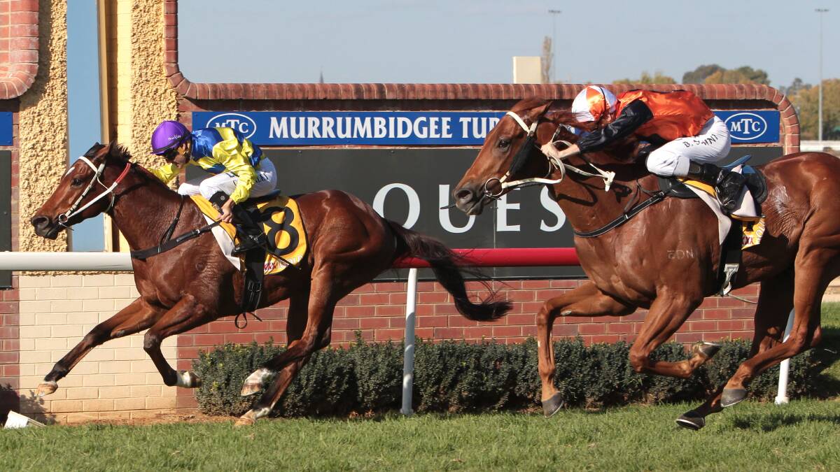 Murray stable shines