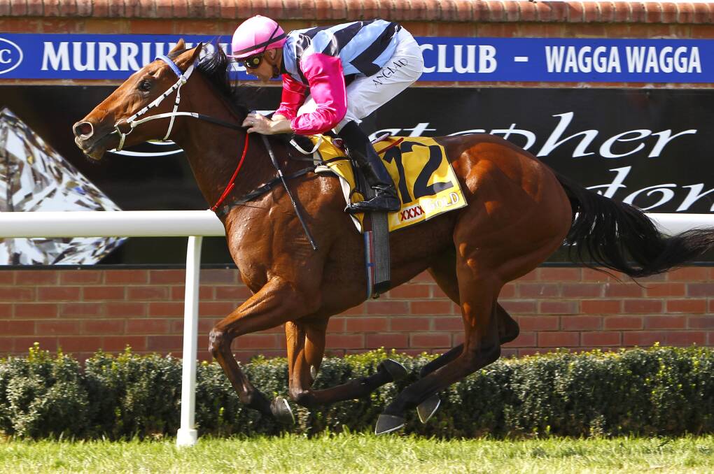 Taraahse cruises to victory in the opening race at Wagga. Pictures: Les Smith