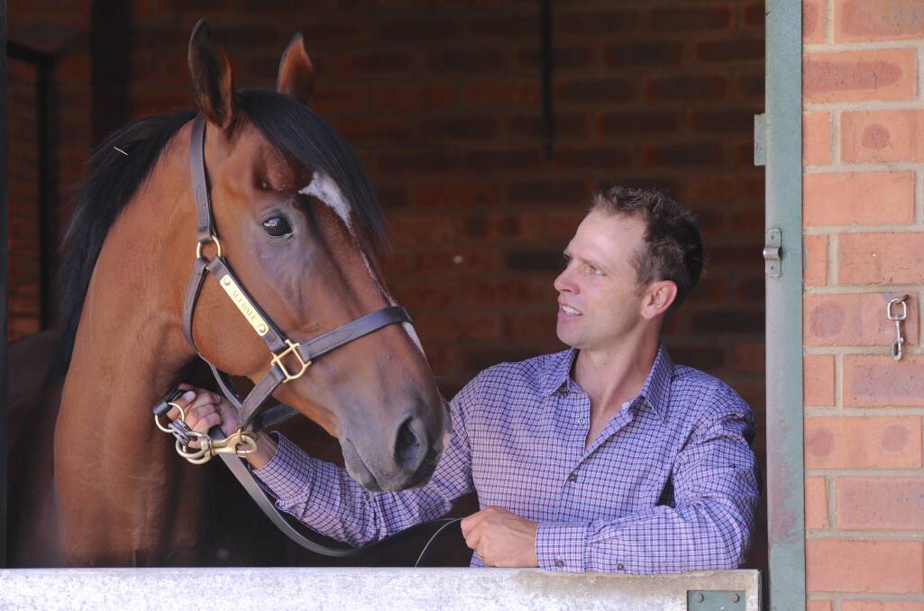 EVEREST BOUND: Canberra trainer Matthew Dale with Fell Swoop, who will represent Inglis in The Everest in October. Picture: Graham Tidy