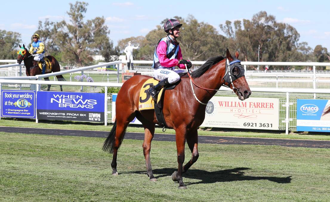 Heysen returns after his win at Wagga last month.