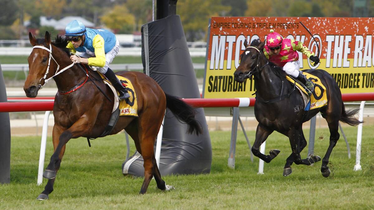 Viceroy streaks away from his rivals to win at Wagga on Cup day. Picture: Les Smith