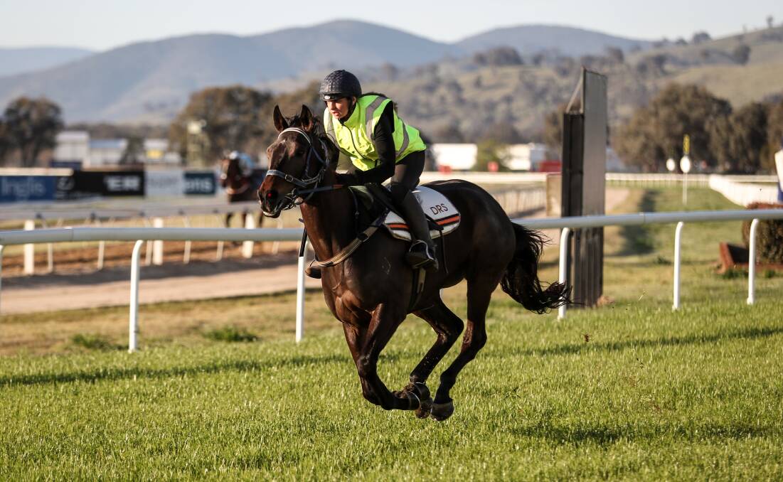 BACK IN ACTION: Abby Stubbs put Albury Racing Club's new track to the test last week. Picture: James Wiltshire 
