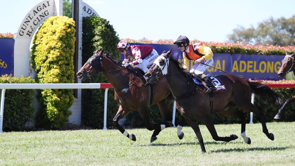TIGHT FINISH: Cod Rock holds out Sand Dune to win the Adelong Cup (1400m) at Gundagai on New Year's Day. Picture: Kieren L Tilly