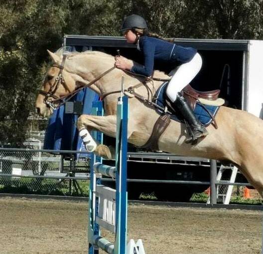 UP AND OVER: Canberra competitor Sarah Davies competes at last year's Riverina Showjumping Festival in Wagga. This year's event will be held on Saturday and Sunday.