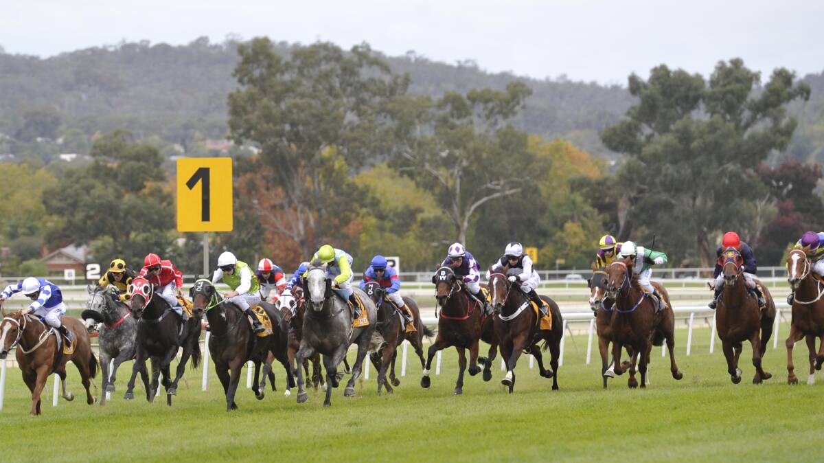 LACK OF RACING: Murrumbidgee Turf Club's race meeting scheduled for Tuesday has been washed out, with little hope of going ahead on Saturday either.