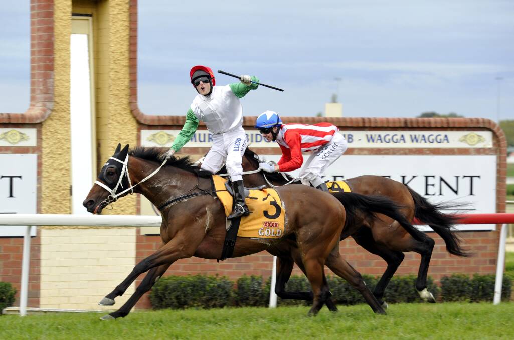 PAST SUCCESS: Chris Waller's quinella in the 2014 Wagga Gold Cup when Trade Commissioner beat Beyond Thankful. Picture: Les Smith