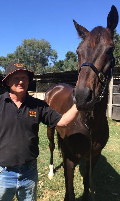 READY TO GO: Tumut trainer Kerry Weir with Sand Dune ahead of Thursday's Ted Ryder Cup. Picture: Peter Doherty