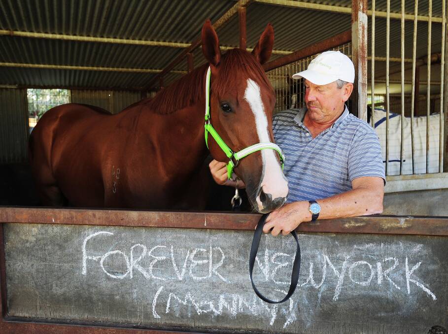 TIME TO SHINE: Wagga trainer Gary Colvin spends some time with Forever Newyork  this week before the big trip to Sydney. Picture: Kieren L Tilly