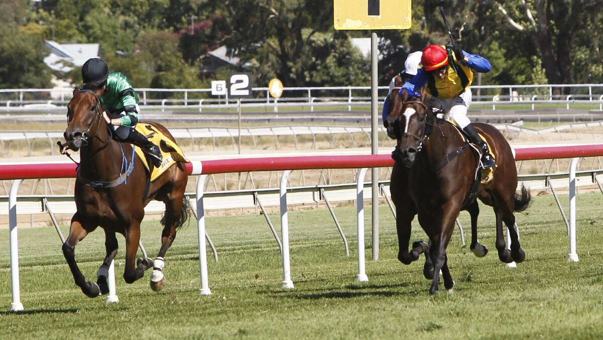 SPEED MACHINE: For Me Dad races away from Miss Liffey to win the XXXX Gold Wagga Whirlwind on Tuesday. Picture: Les Smith