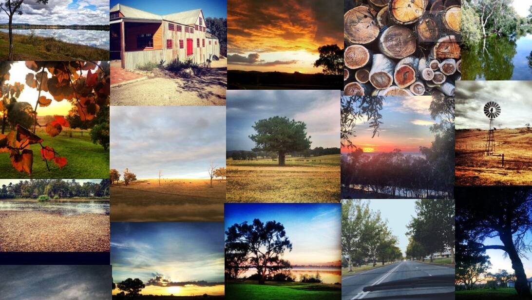 Just some of the ripping photos taken by Wagga residents this Autumn.