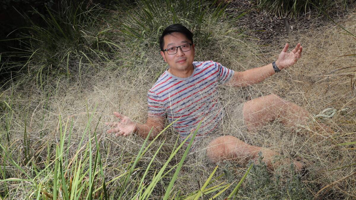 WEED INFESTATION: Graham Centre researcher Yuchi Chen among a pile of panic grass tumble weeds at Charles Sturt University. Picture: Les Smith 