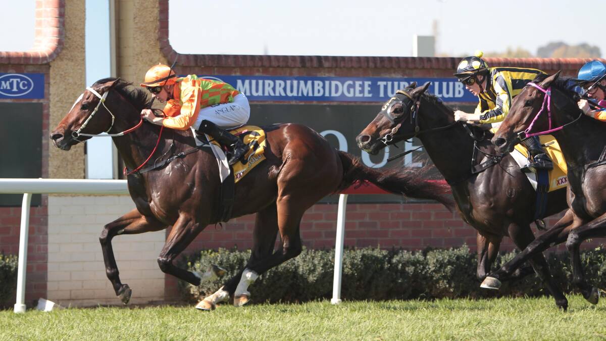Swift Reply takes out the first at the Wagga Gold Cup race day. Picture: Les Smith