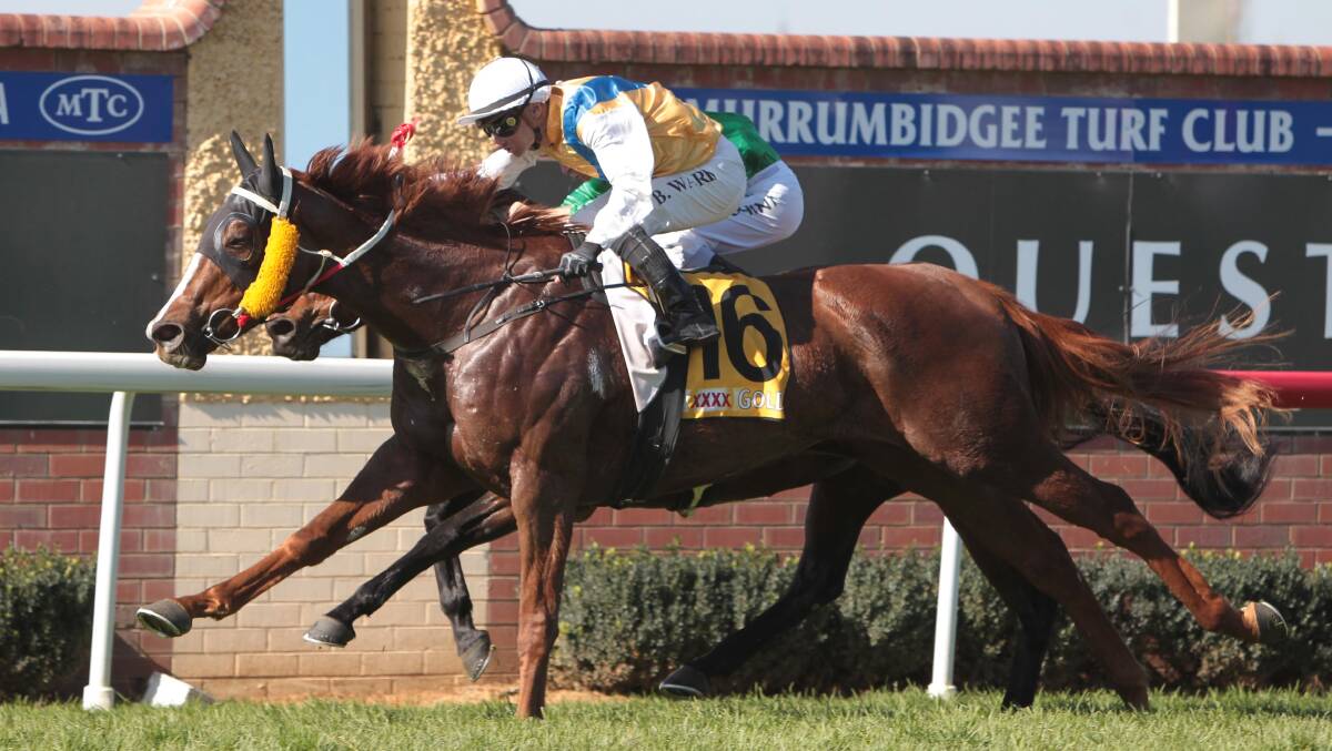 Brendan Ward aboard Miss Falsified edges past Stratum's Siren in the second at Wagga Gold Cup day. Picture: Les Smith
