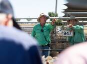 James Croker and Jayden Burke from Nutrien Ag Solutions in action at the Wagga sale on Thursday, where a record number of sheep were sold. Picture by Madeline Begley