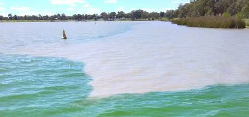 How to fix Lake Albert: the best of reader suggestions