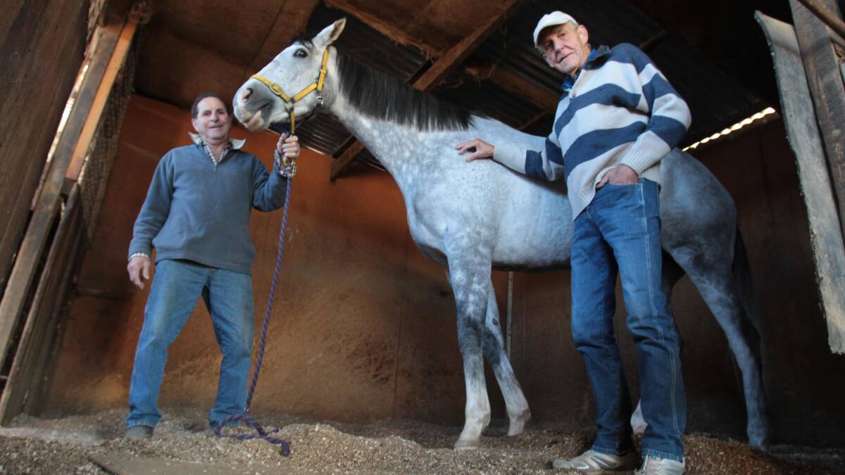 UNIQUE BOND: Wagga trainer Peter Churche and part-owner Robert Radley put the finishing touches on Video Show at his stable on Thursday ahead of his Gold Cup start. Picture: Les Smith