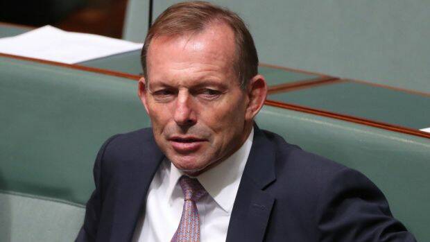 Former prime minister Tony Abbott in Parliament in February. Photo: Andrew Meares
