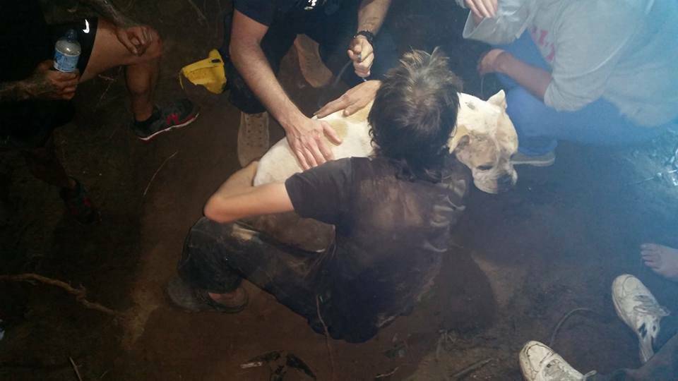 Owner Charlie Griffith hugs his dog Brooklyn for the first time in three days after it was trapped in a wombat hole at Ben's Walk. Photo: Storm Spotters Australia
