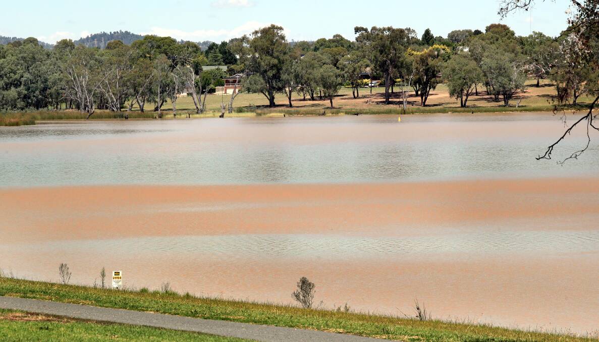 OUT OF ACTION: The community is calling on the council to take action after the lingering presence of blue-green algae in Lake Albert has rendered the water unsafe for use for almost six weeks now. Picture: Les Smith