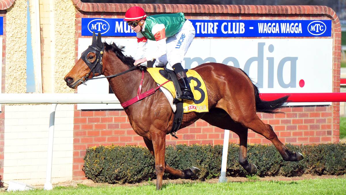 EASY DOES IT: Speed 'N' Turf eases to victory on the heavy track at Murrumbidgee Turf Club for Berrigan trainer Emma Steel on Tuesday. Picture: Kieren L Tilly