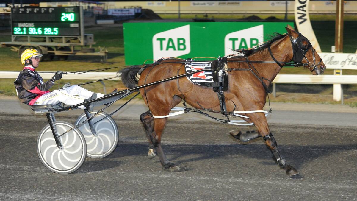 ALL THE WAY: Cameron Hart steers Luvumum to victory for Alfredtown trainer Jake Stockton at Wagga on Friday night. It was part of a early double for the Junee reinsman. Picture: Laura Hardwick