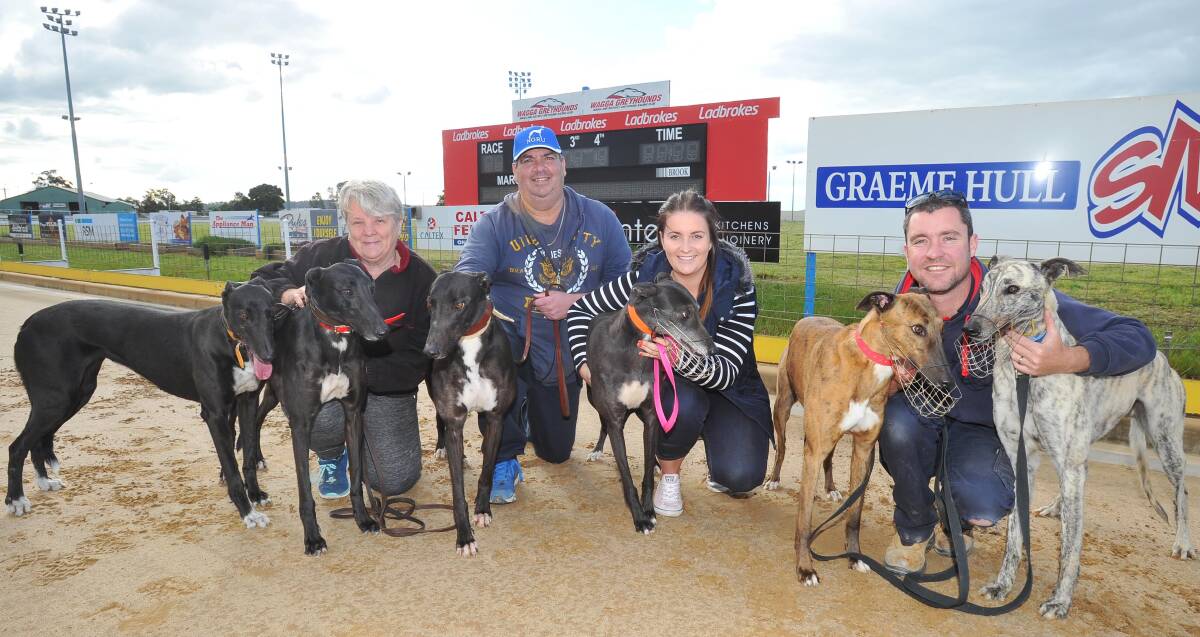 HAPPY TIMES: Joanne Smith, Ron Flaherty, Hayley Price and Adam Oliver celebrate the decision to reverse the greyhound ban at Wagga's track on Tuesday. Picture: Kieren L Tilly