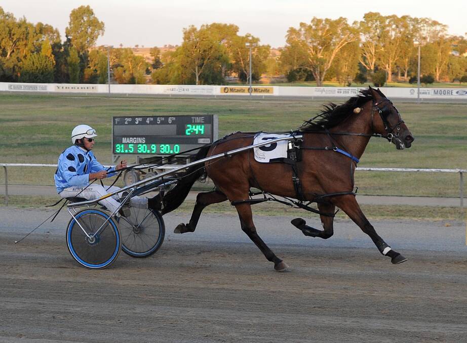 GOING ALL THE WAY: Gold Starzzz made it four wins from six starts with a front-running display for Junee trainer-driver Matthew Harris on his home track on Saturday night. Picture: Laura Hardwick