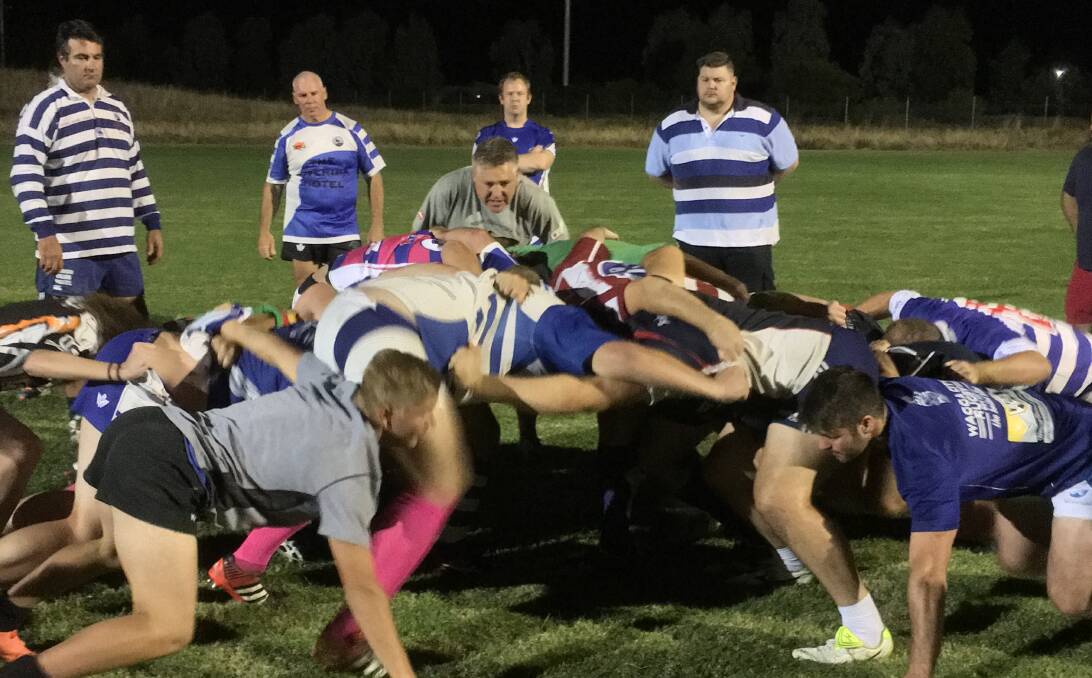 EXPERIENCED EDGE: Former Wallaby Andrew Blades feeds a scrum during a special training session with Wagga City at Conolly Rugby Complex on Monday night.