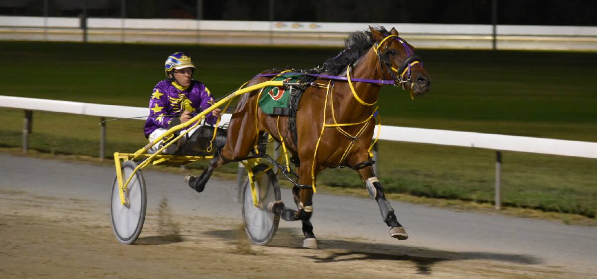RACE OF HIS OWN: Petes Big Jim scored a big win in the first of the MIA Breeders Plate heats on Friday night. Picture: Courtney Rees