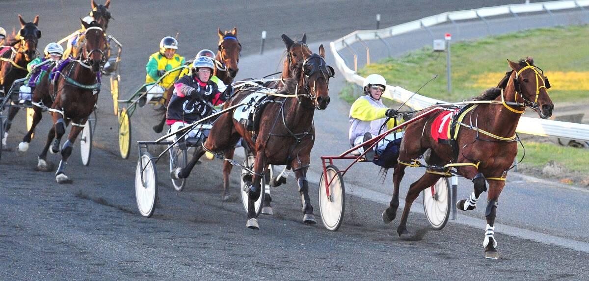 Jessica Amber put in a tough effort to win at Wagga last night. She races again on Tuesday.