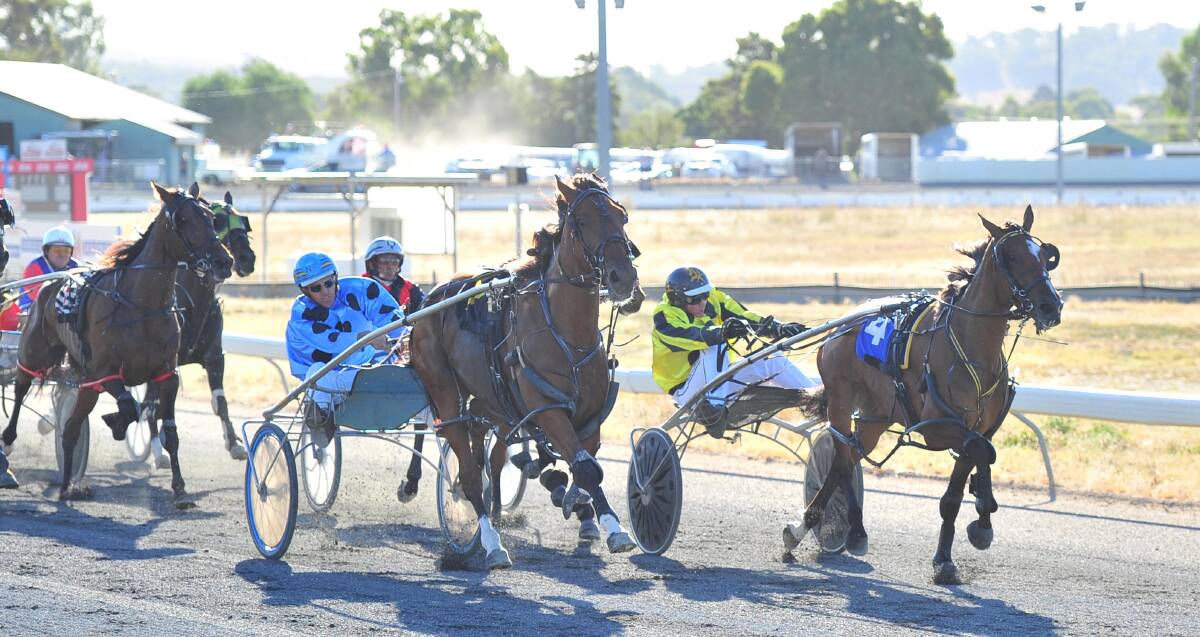 FIGHTING FINISH: Habanero rallies on the inside to take out the opening race at Wagga on Tuesday from Untitled. Picture: Kieren L Tilly