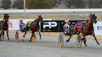 Brooklyn Bridge races away from his rivals to take out the first Riverina Championships heat for the entires and geldings at Riverina Paceway on Tuesday. Picture by Les Smith