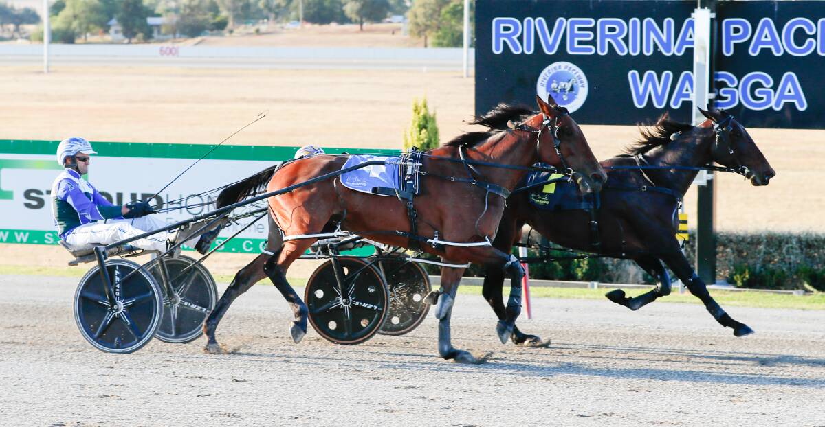 Major Delight holds off Not To Be Denied to win the first of the Riverina Championships Mares Heats at Riverina Paceway on Tuesday. Picture by Les Smith