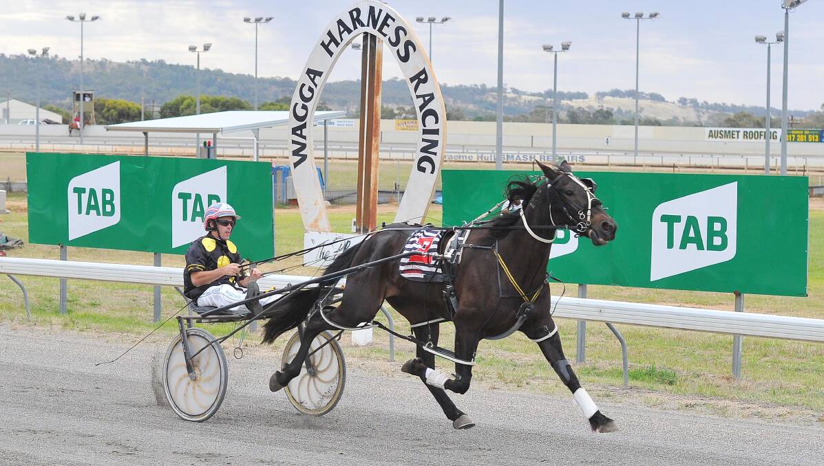 WINNING RETURN: Victorian reinsman David Moran drives Ugo Stanotte to victory for Shane Hillier at Wagga on Tuesday night. Picture: Kieren L Tilly