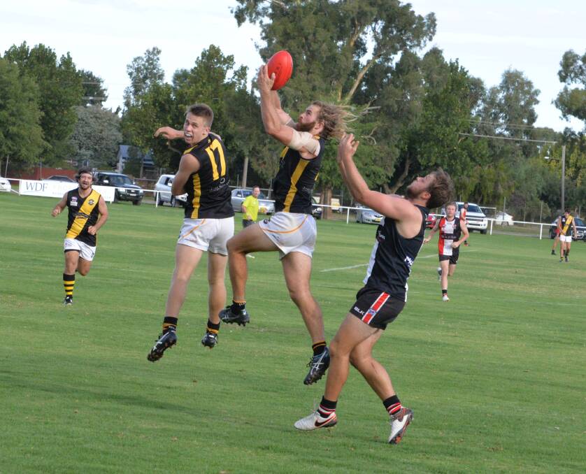 HIGH FLIER: Wagga Tigers'captain-coach Shaun Campbell leaps for a mark in
defence between team-mate Nicholas McCormack and a North Wagga opponent in
Saturday's trial at McPherson Oval, North Wagga.