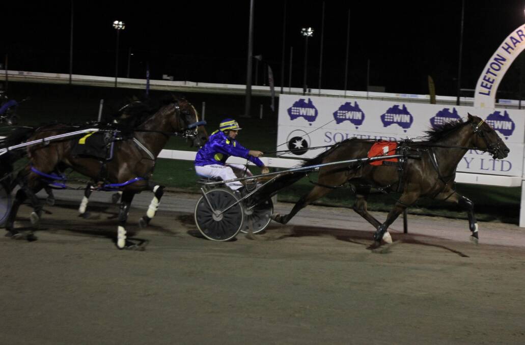 Our Mach Jack is among the nominations for the Harness Racing NSW awards.