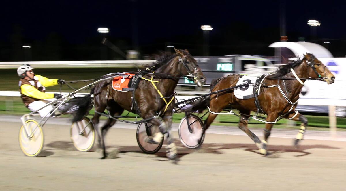 HOLDING ON: Good Girl Shirl holds off Official Jasper to win first up from a break on Wednesday night to hand Peter McRae his second race win.