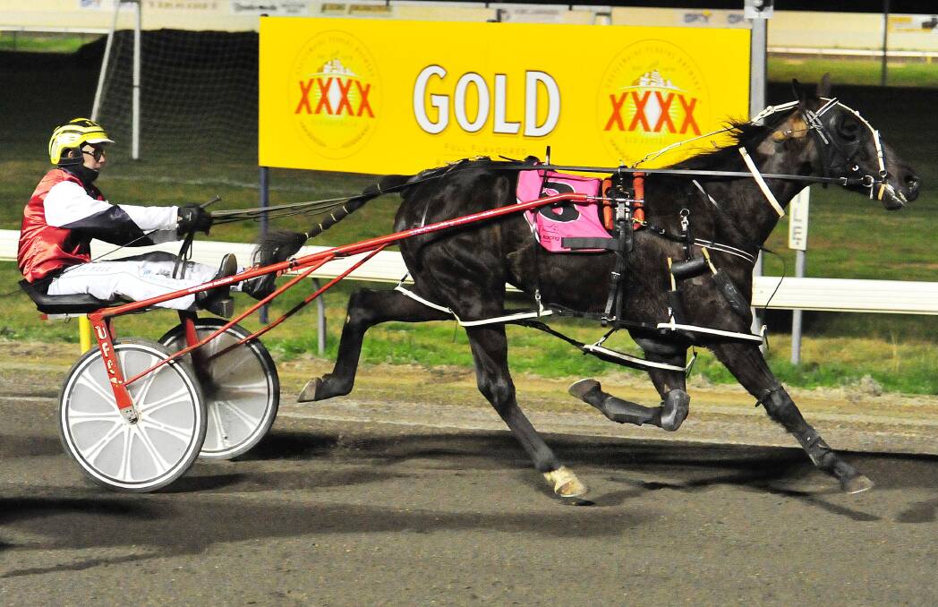 FOUR IN A ROW: East Emperor continues his good run of form in taking out the Turners Excavations Pace on Friday night. Picture: Kieren L Tilly