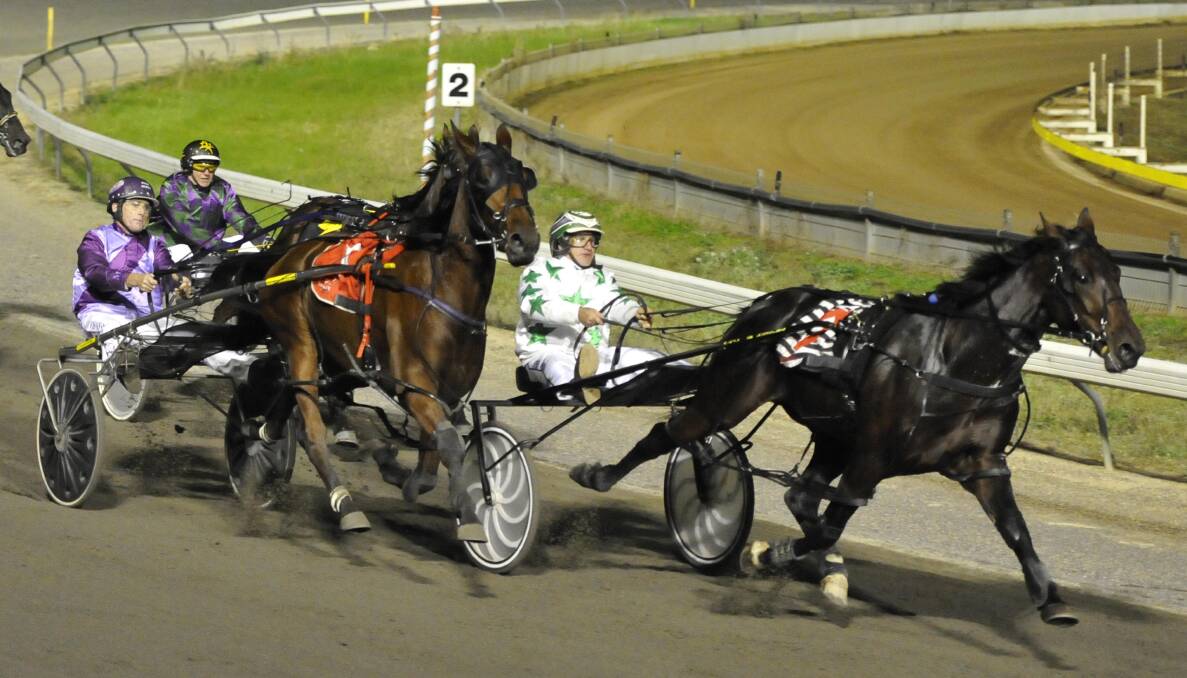 Bettermatch hasn't raced since winning a NSW Breeders Challenge heat at Wagga in May 2015, pictured, but returns to the track at Wagga on Tuesday.