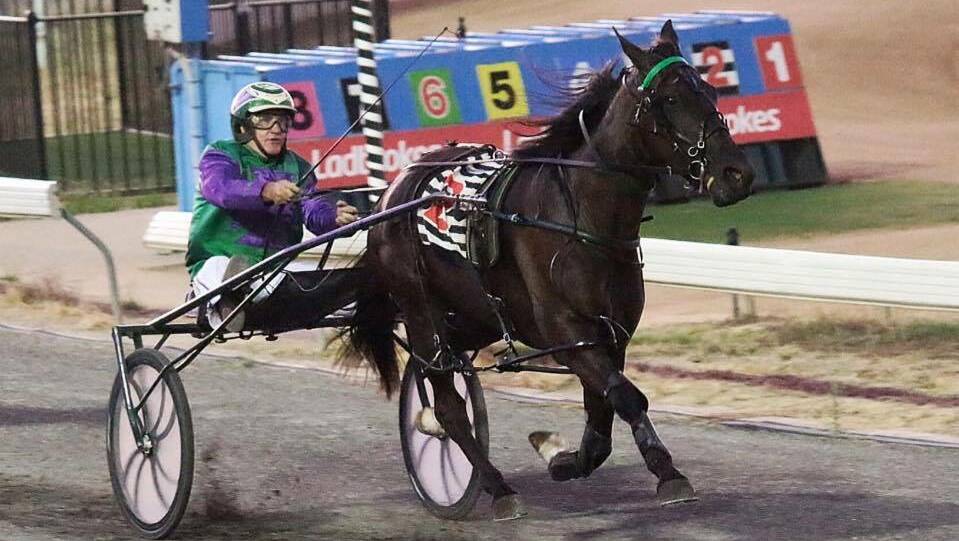 ON THE WAY: Miss Elly May, pictured running away from her rivals to Wagga on debut, is in a Gold Tiara heat at Bathurst on Wednesday night for Mirrool trainer-driver Stephen Maguire. Picture: Meg Maguire