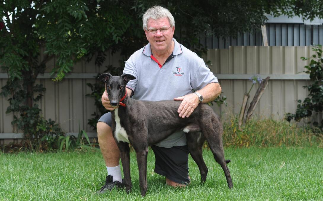 John Hartley's Our Jack won a heat of the Ladbrokes 525m series on Friday.