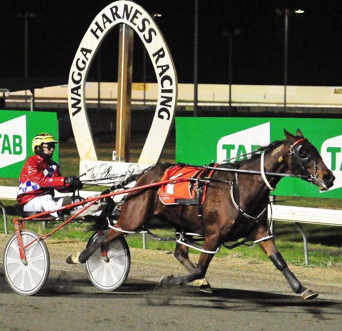 TOO GOOD: Jack Kelly leads all the way to score his first win since April at Wagga on Friday night. He was one of four winners trainer Shaun Snudden and three for driver Corey Bell. Picture: Kieren L Tilly