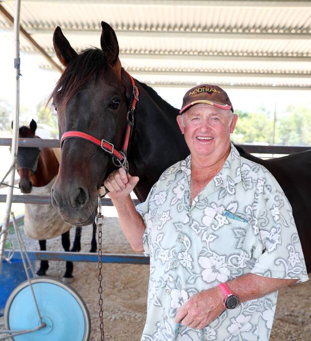 LOCAL HOPE: Wagga trainer Terry Powter will line up Go Scotty in the Christmas Cup on Saturday night. Picture: Kieren L Tilly