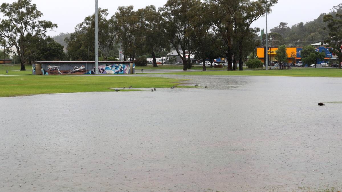 GOOD DAY FOR DUCKS: Heavy rain forced the cancellation of sporting events across Wagga over the weekend. Picture: Les Smith