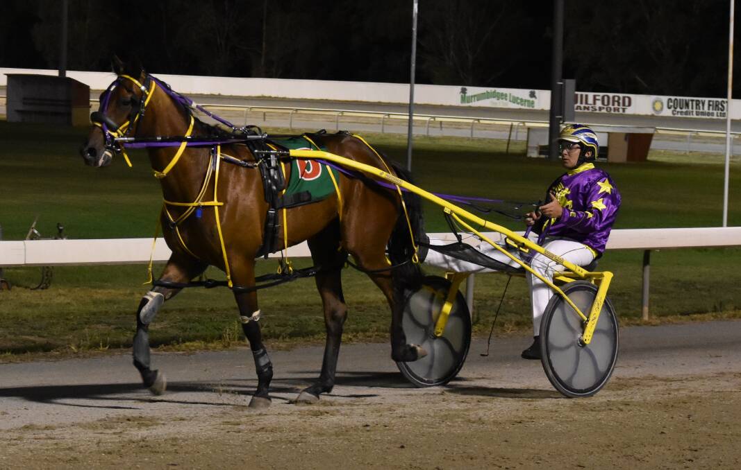 STRONG CHANCE: Petes Big Jim, pictured after his MIA Breeders Plate heat win, has drawn barrier six for the Group Three final on Friday. Picture: Courtney Rees
