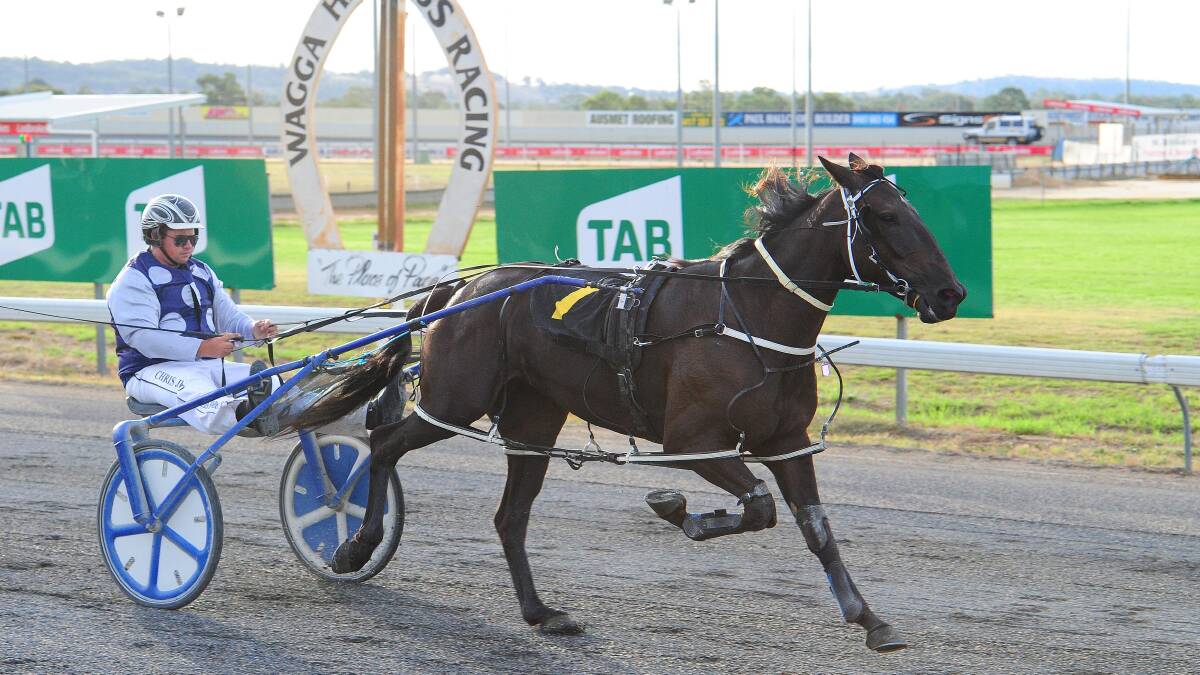 START OF SOMETHING GOOD: Chris Judd guides Dollarbill to his second win within a week at Wagga on Friday. Picture: Kieren L Tilly