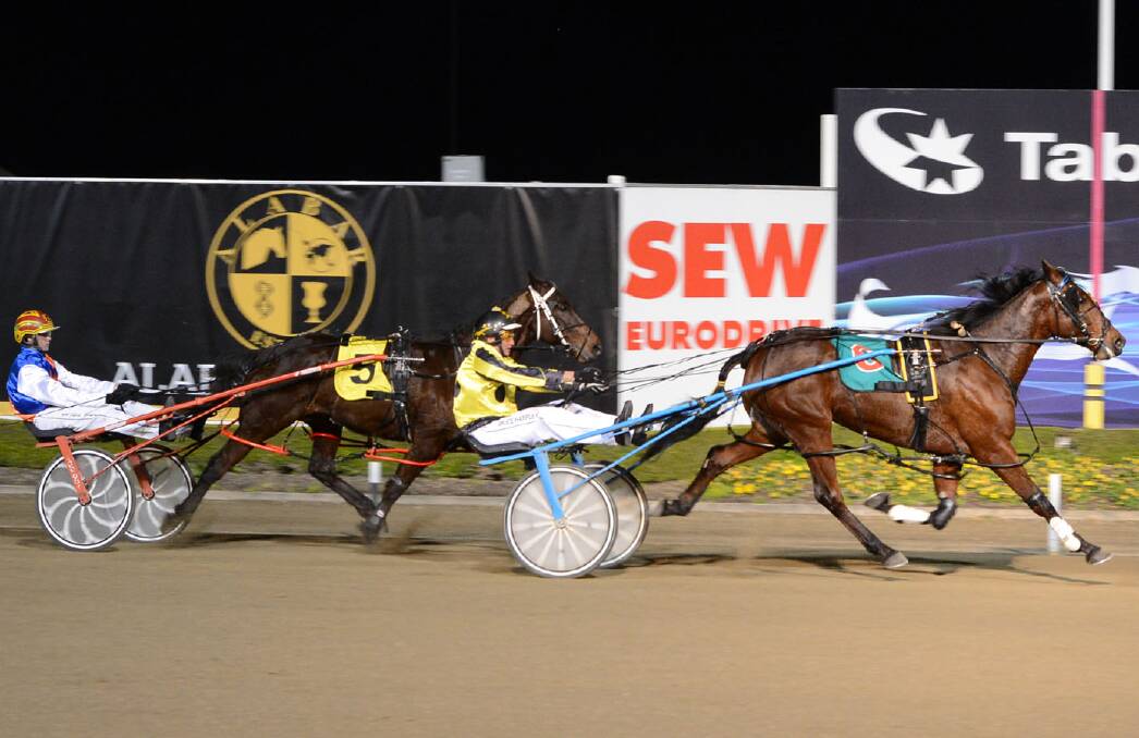 FAST WIN: Junee trainer-driver Bruce Harpley drives Stening to the line to take out the $26,000 Menangle Country Series final on Saturday night.